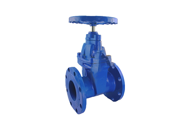 BS5163 Resilient Gate Valve